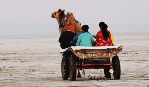 10 Must Do’s on a Trip to Kutch, India