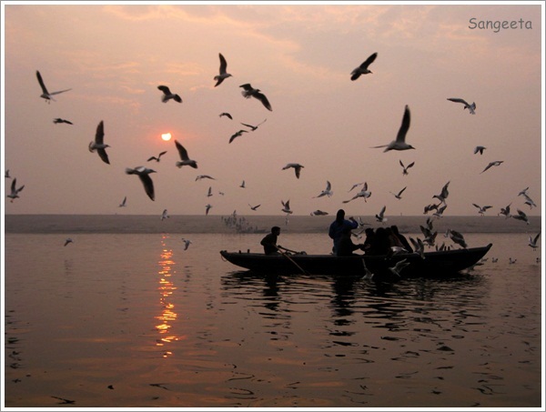 Boat Ride on the Ganga during Sunrise in Varanasi