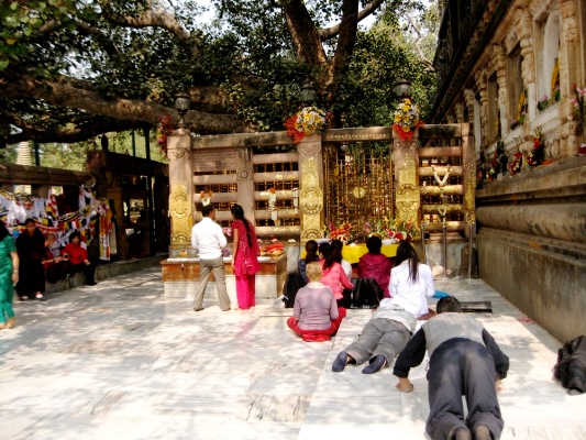 Under the Bodhi Tree in Bodhgaya