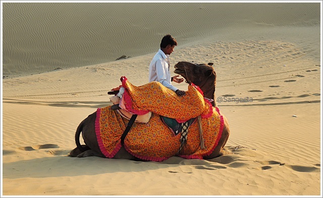 Glimpses from the SAM Sand Dunes, Jaisalmer