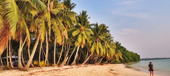 4 Must Visit Beaches in Havelock Island of Andamans