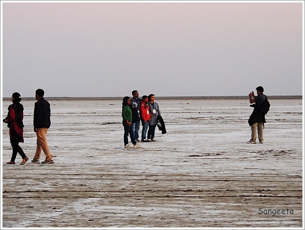 Scenes From The Salt Desert: Great Rann Of Kutch, India