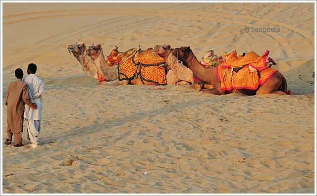10 Must Do’s on a Trip to Jaisalmer